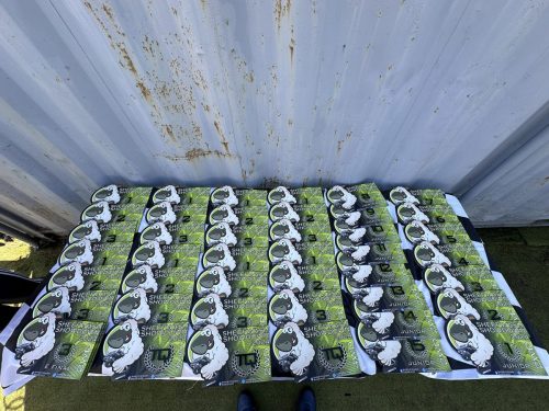 Showdown-2024-Trophie-Boards